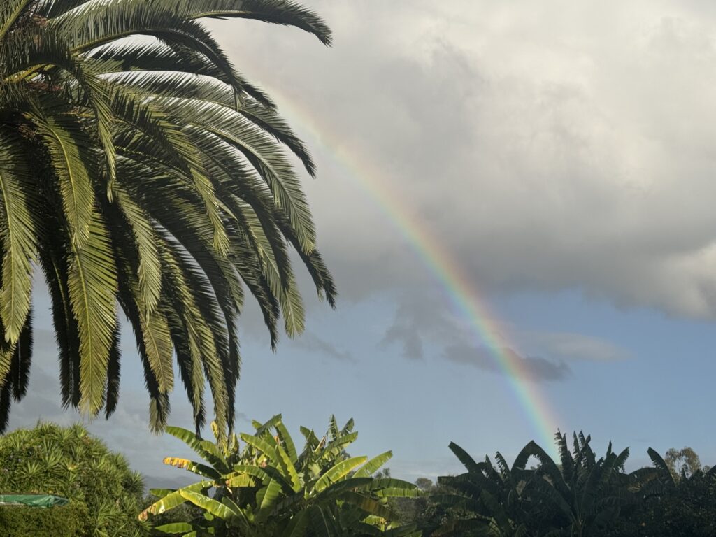 The programs featured image